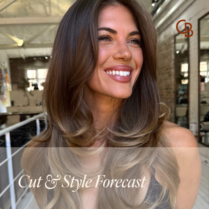 Cut & Style Forecast
