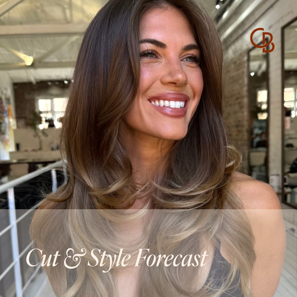 Cut & Style Forecast